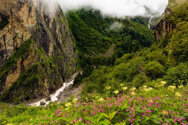 Valley of Flowers Trek